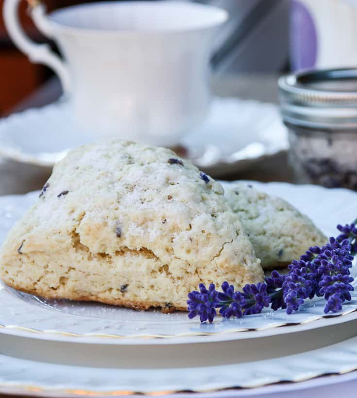 Two lavender scones on a white china plate.