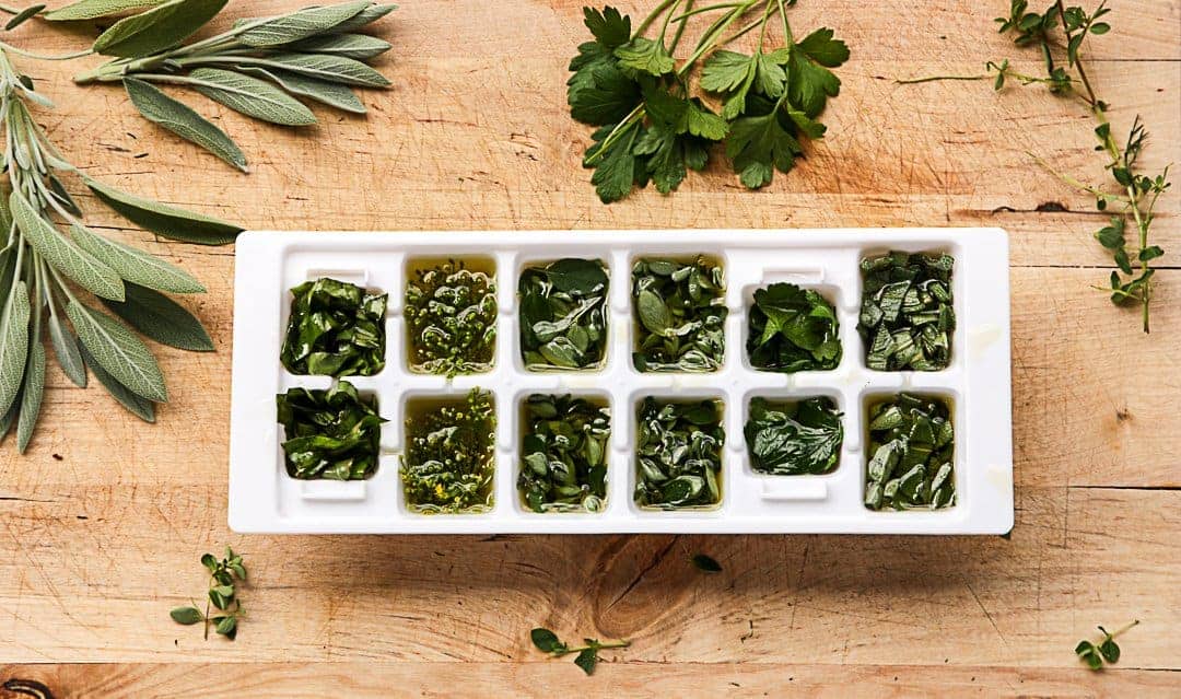 Preserving Fresh Herbs - Herb Cubes to Freeze