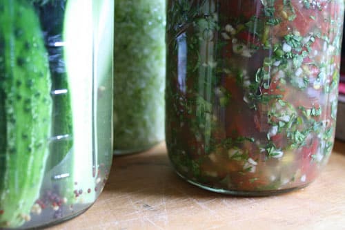 ferments