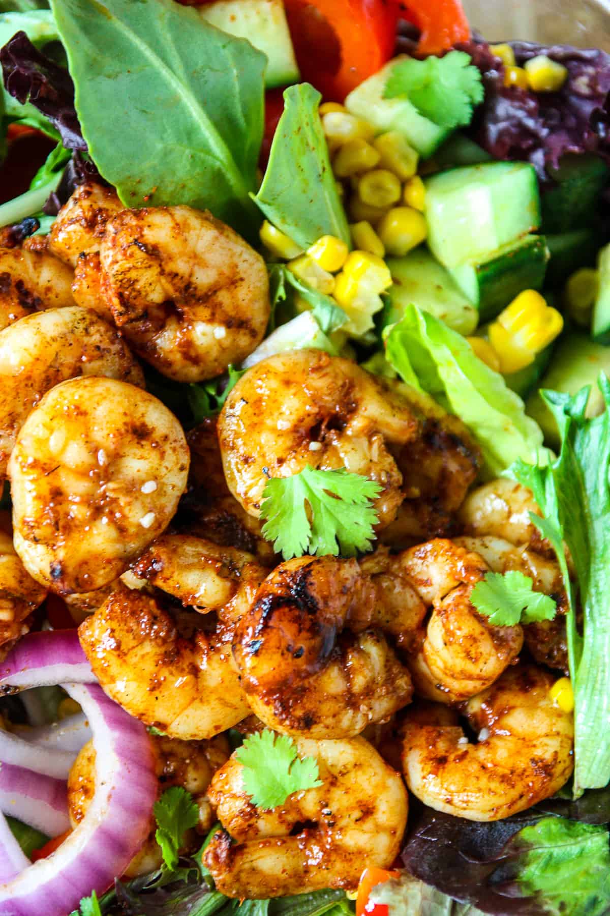 A close up of the chilli lime shrimp on a bed of salad greens.