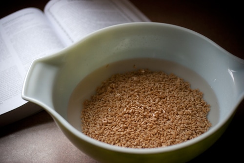 Grain