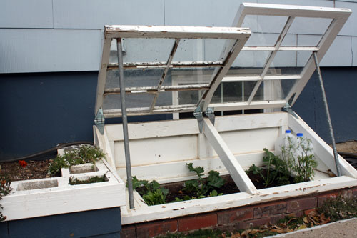 coldframe