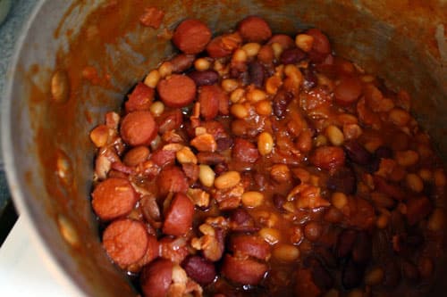 dog-and-bean-stew