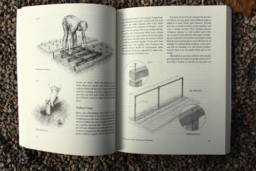 interior,-four-season